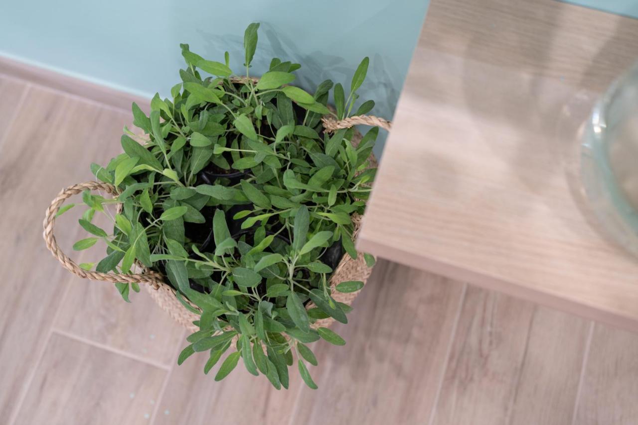 Viva Apartment Сорренто Экстерьер фото